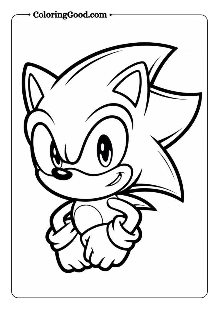 Classic Sonic Portrait
