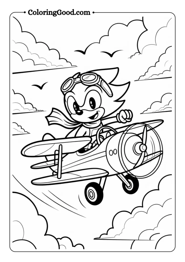 Sonic Flying Airplane