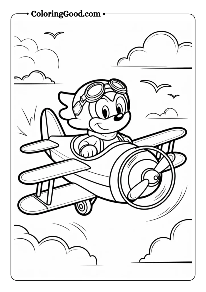 Sonic Flying Airplane